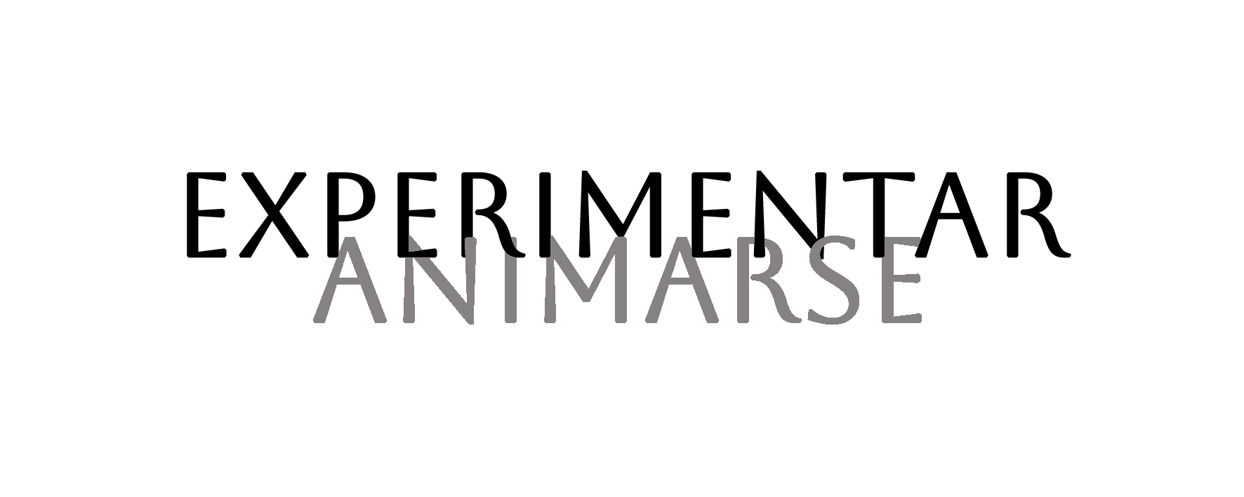Animarse y Experimentar